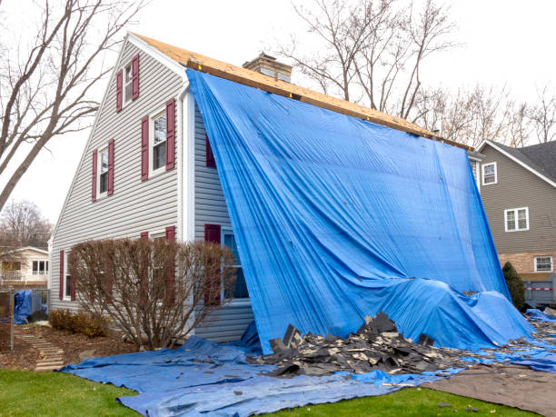 Best Aluminum Siding Installation  in Severance, CO